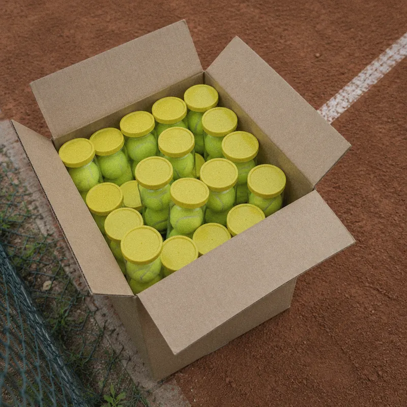 Caja abierta con tarros de pelotas HEAD al borde de la cancha